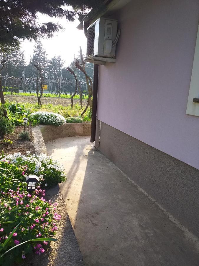 Istra Lägenhet Koper Exteriör bild